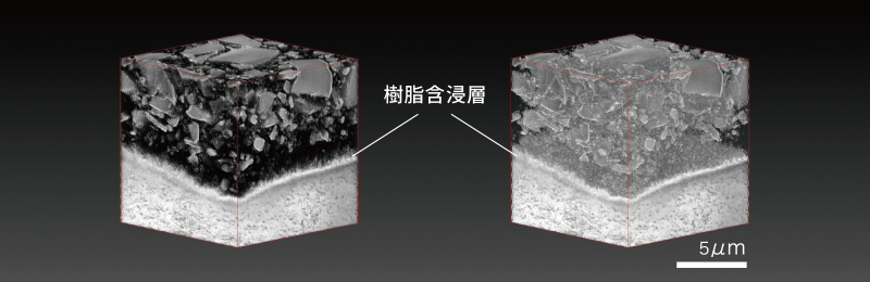 象牙質接着界面の3D SEM像