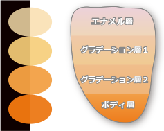 レイヤー各層の色調・透光性(イメージ図)